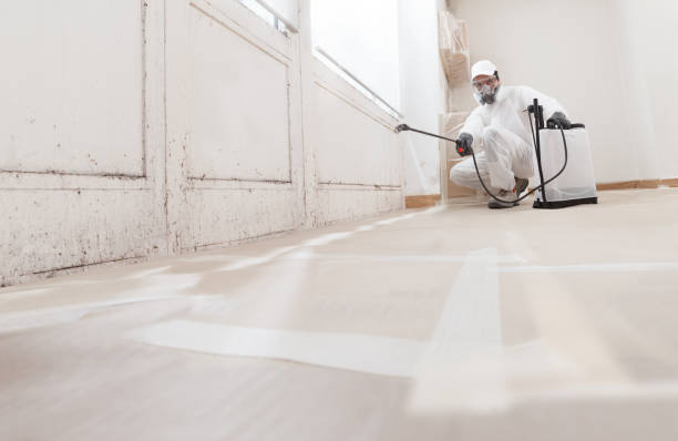 24/7 Emergency Mold Remediation experts in Greensboro, NC