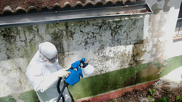 Top rated local Mold Remediation specialists in Greensboro, NC